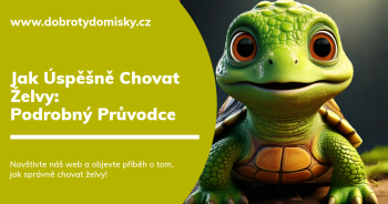 Jak Úspěšně Chovat Želvy: Podrobný Průvodce