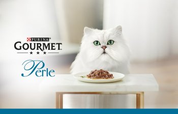 Objevte Gourmet: Prémiové krmivo pro kočky od Dobroty do misky