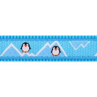 Obojek RD 25 mm x 41-63 cm - Penguin Turquoise