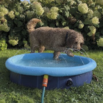 Nobby bazén s postřikovačem Splash Pool L160x30cm