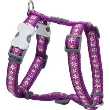 Postroj RD 20 mm x 45-66 cm - Daisy Chain Purple